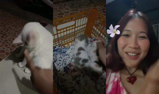 biwthru's Live Session — Sep 18, 2026, 3:04 PM