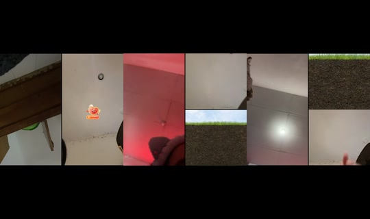 bonitagenesis's Live Session — Sep 19, 2026, 9:46 PM