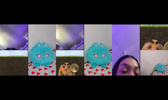 bonitagenesis's Live Session — Sep 20, 2026, 2:25 PM