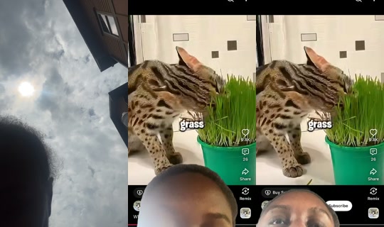 breebabyy_3's Live Session — Aug 4, 2026, 4:10 PM