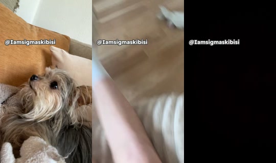 brianacookie1's Live Session — Aug 8, 2026, 6:36 PM
