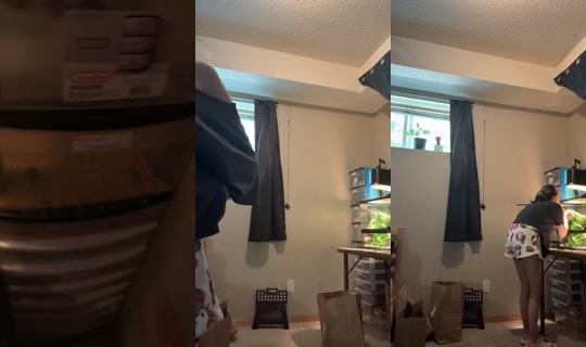 brookelush05's Live Session — Jul 27, 2026, 7:12 PM