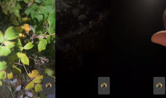 brusnesofficial's Live Session — Sep 24, 2026, 11:33 PM