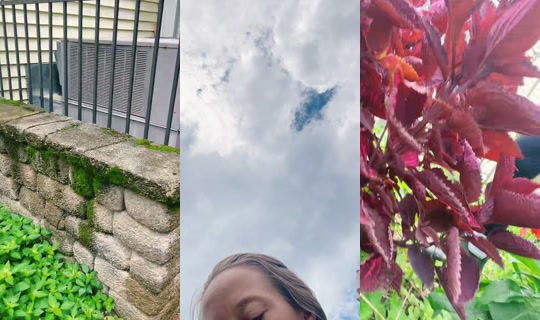 bsgardening's Live Session — Jul 14, 2026, 4:35 PM