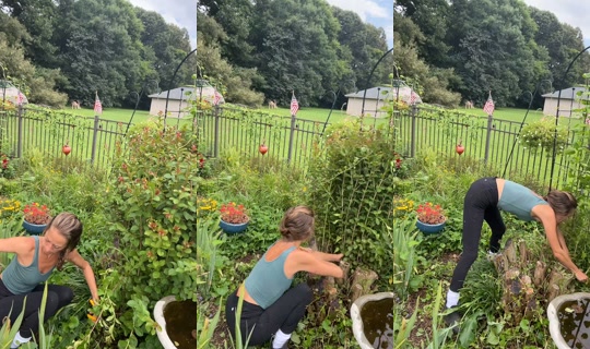 bsgardening's Live Session — Jul 14, 2026, 4:55 PM