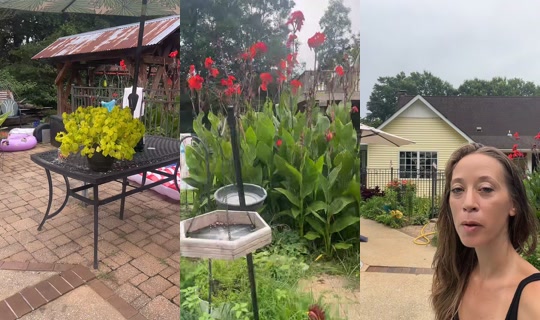 bsgardening's Live Session — Jul 24, 2026, 1:43 PM