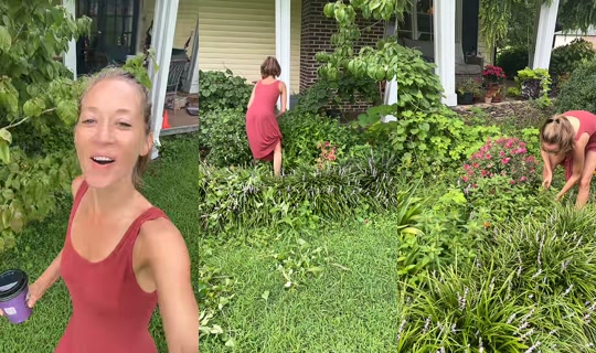 bsgardening's Live Session — Jul 26, 2026, 1:59 PM