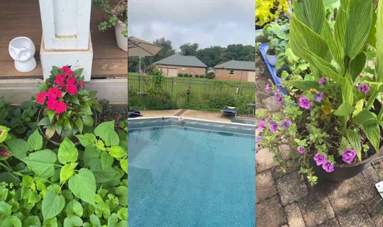 bsgardening's Live Session — Jul 27, 2026, 2:22 PM