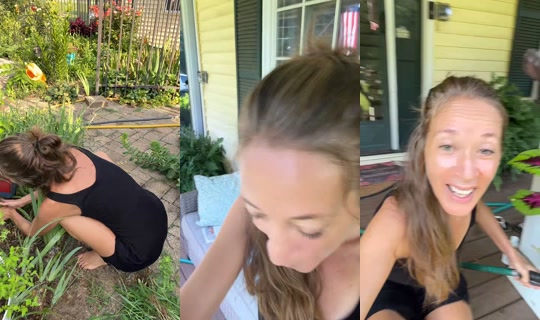 bsgardening's Live Session — Jul 28, 2026, 1:23 PM