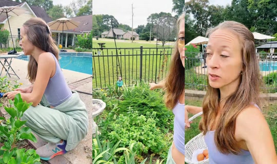 bsgardening's Live Session — Sep 24, 2026, 1:07 PM