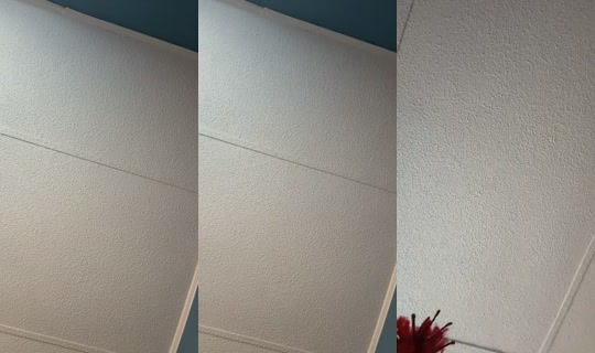 bunny_605's Live Session — Sep 22, 2026, 3:18 PM