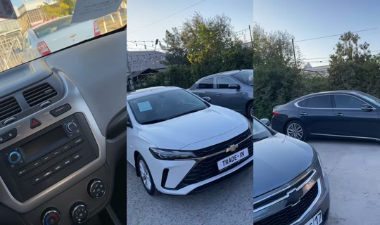 buycar_shymkent's Live Session — Oct 16, 2026, 11:29 AM