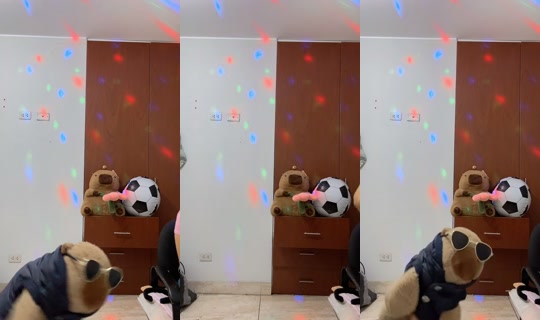 capyperu's Live Session — Jul 13, 2026, 1:57 AM