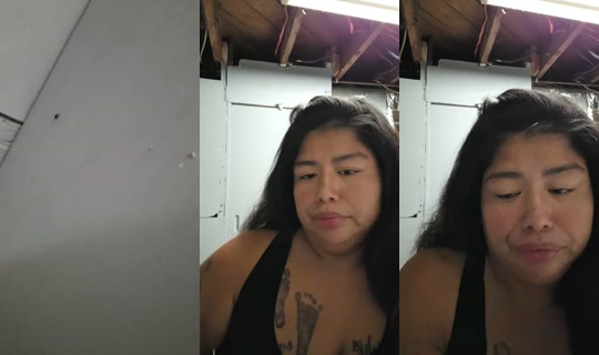 carolinamiranda0817's Live Session — Oct 9, 2026, 5:13 AM