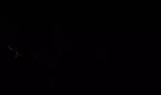 carollwinter5's Live Session — Jul 15, 2026, 4:39 AM