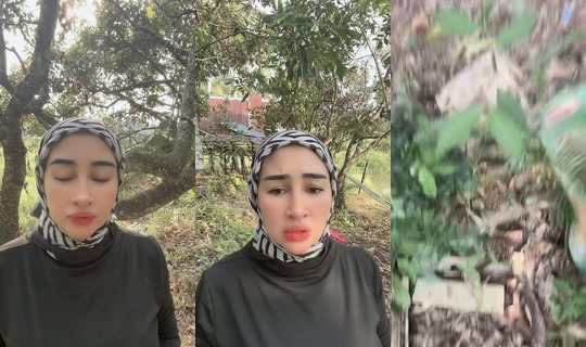 cheqkaknoliey's Live Session — Jul 8, 2026, 9:48 AM