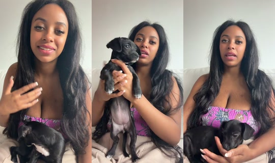 chickentendais's Live Session — Jul 19, 2026, 5:21 PM