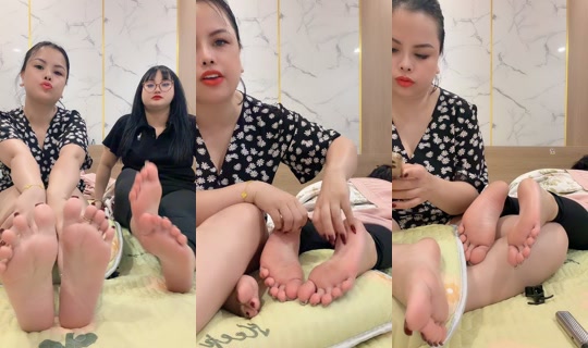cici295vn's Live Session — Jul 22, 2026, 4:32 AM