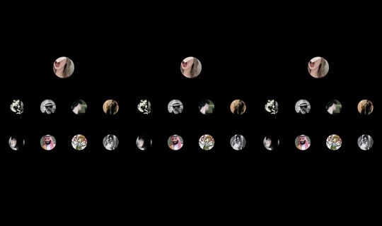 ciote_'s Live Session — Oct 9, 2026, 9:28 PM