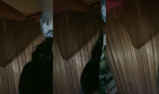 clarazky0's Live Session — Sep 10, 2026, 2:29 AM