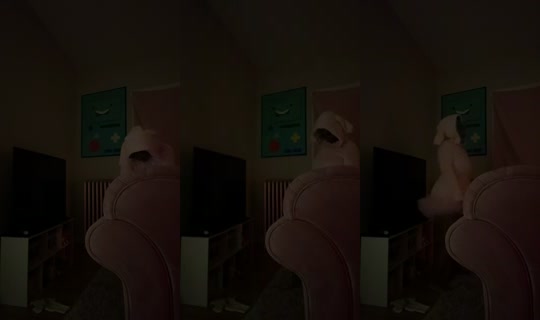 covenwitchbonnie's Live Session — Jul 9, 2026, 8:16 AM