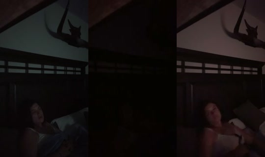 cuentaenconstruccion1's Live Session — Sep 13, 2026, 9:53 PM