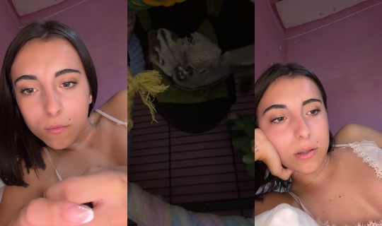 daayaprzz's Live Session — Sep 21, 2026, 8:48 PM