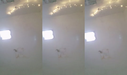 daisy.daisy6957's Live Session — Sep 25, 2026, 6:51 AM