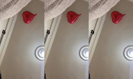 dala3.shameih's Live Session — Sep 10, 2026, 1:48 AM