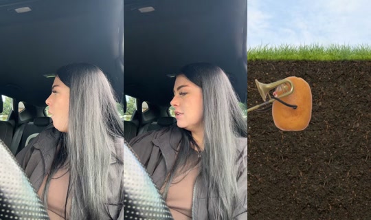 daniellelillyblossoms's Live Session — Sep 17, 2026, 9:00 AM