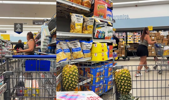 dashingpineapple's Live Session — Aug 17, 2026, 5:11 PM