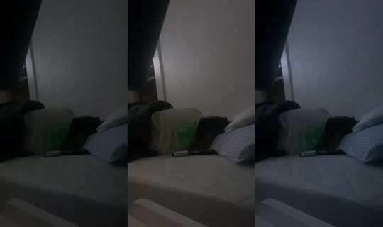 delaneyh05's Live Session — Oct 29, 2026, 8:50 AM
