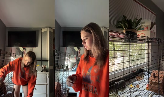 des.secret.2.0's Live Session — Jul 14, 2026, 2:58 PM