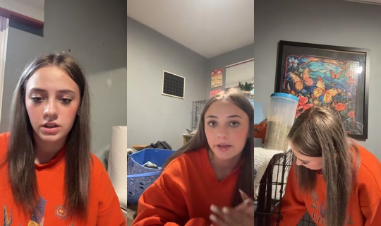 des.secret.2.0's Live Session — Jul 15, 2026, 12:41 AM