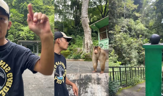 detimmanik8's Live Session — Jul 21, 2026, 6:12 AM