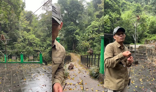 detimmanik8's Live Session — Sep 3, 2026, 6:55 AM