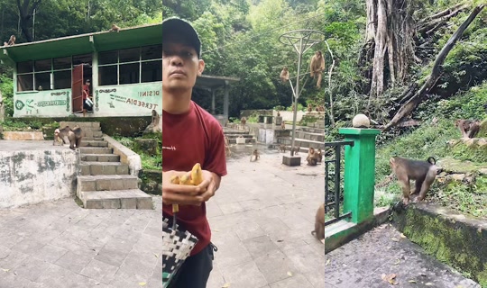 detimmanik8's Live Session — Oct 18, 2026, 6:21 AM