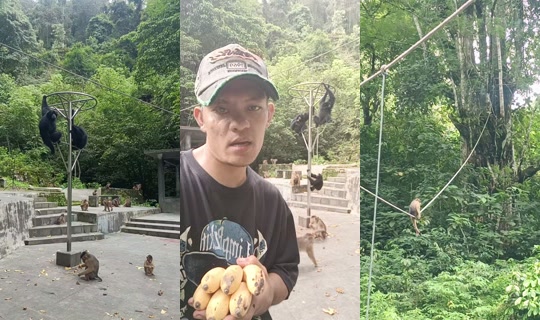 detimmanik8's Live Session — Oct 24, 2026, 7:50 AM