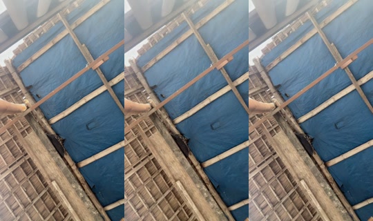 diah.yollaaa's Live Session — Sep 11, 2026, 9:21 AM