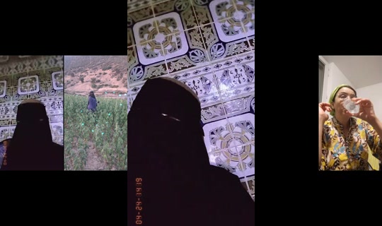 dictatouri07's Live Session — Sep 6, 2026, 9:48 PM