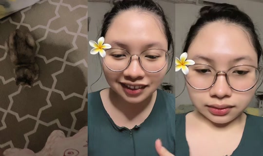 diffah9's Live Session — Oct 31, 2026, 5:14 PM