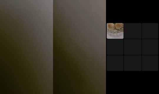 doctor0081's Live Session — Jul 22, 2026, 6:13 PM