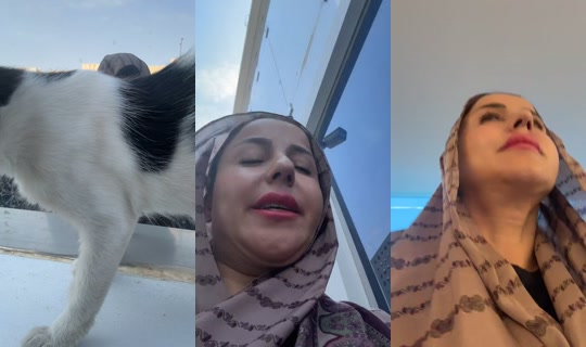 dodiota's Live Session — Jul 27, 2026, 7:02 AM