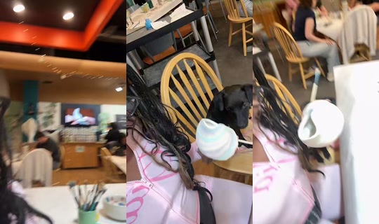 donavegaa's Live Session — Sep 6, 2026, 8:31 PM