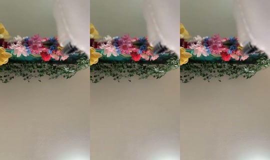 duck0buni's Live Session — Jul 29, 2026, 11:06 PM