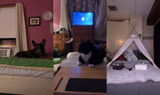 eanidvans's Live Session — Aug 3, 2026, 4:33 AM