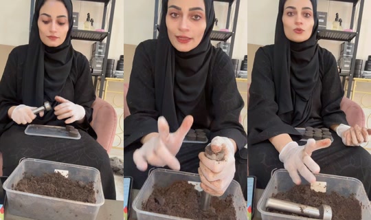 elhamy_99's Live Session — Aug 2, 2026, 10:41 AM