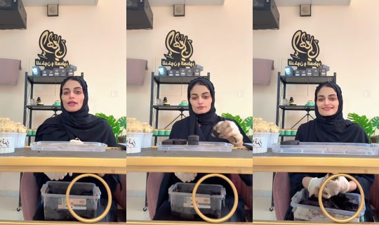 elhamy_99's Live Session — Oct 22, 2026, 9:45 AM