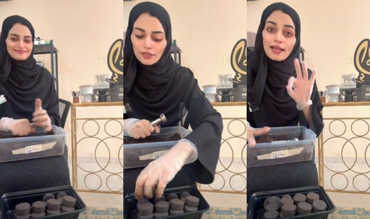 elhamy_99's Live Session — Oct 27, 2026, 9:14 AM
