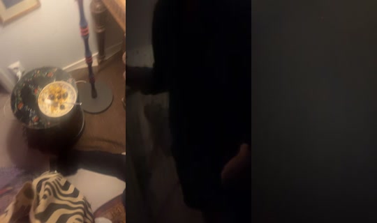 elisabethem's Live Session — Aug 8, 2026, 1:16 AM